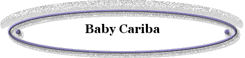 Baby Cariba