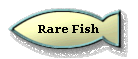 Rare Fish