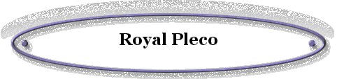 Royal Pleco