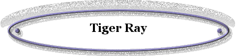 Tiger Ray