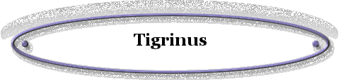 Tigrinus