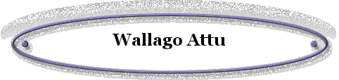 Wallago Attu